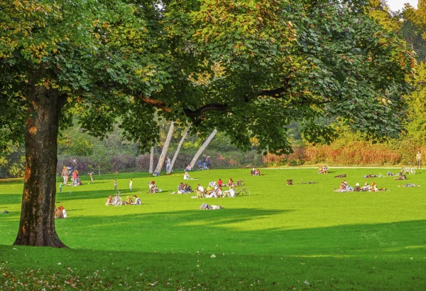 Sommerlicher Park in Köln: Menschen genießen die Sonne auf einer weitläufigen Wiese mit schattenspendenden Bäumen.